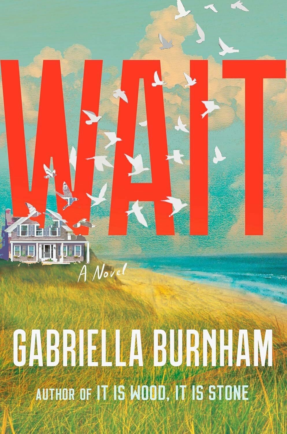 Cover of Wait