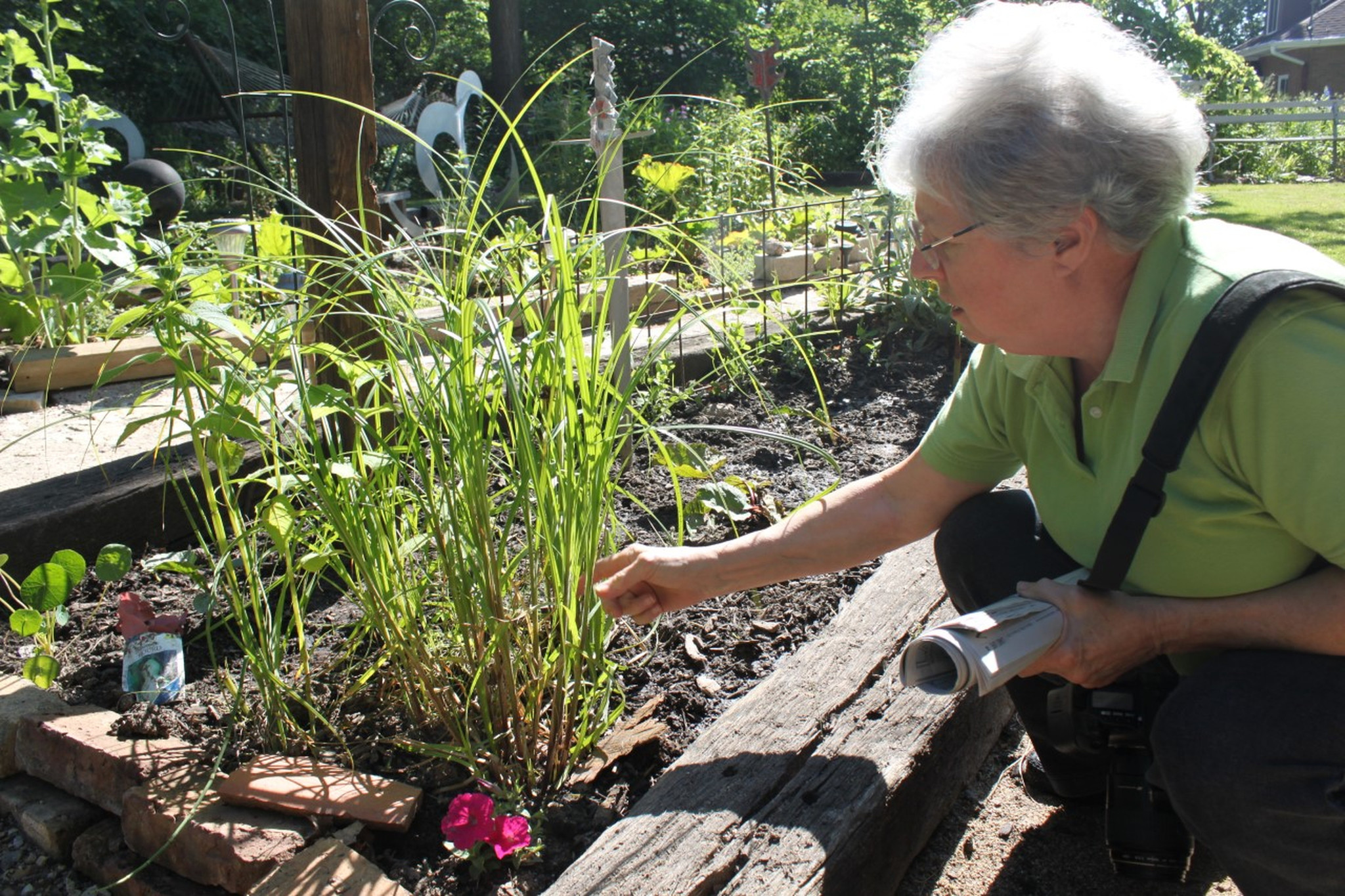 Linda Curtis, a botanist from Lake Villa, examines one of the plants she grows in her yard. She will discuss rare plants Oct. 5 at the Lake Villa Library, as part of the Big Read project in Lake County.