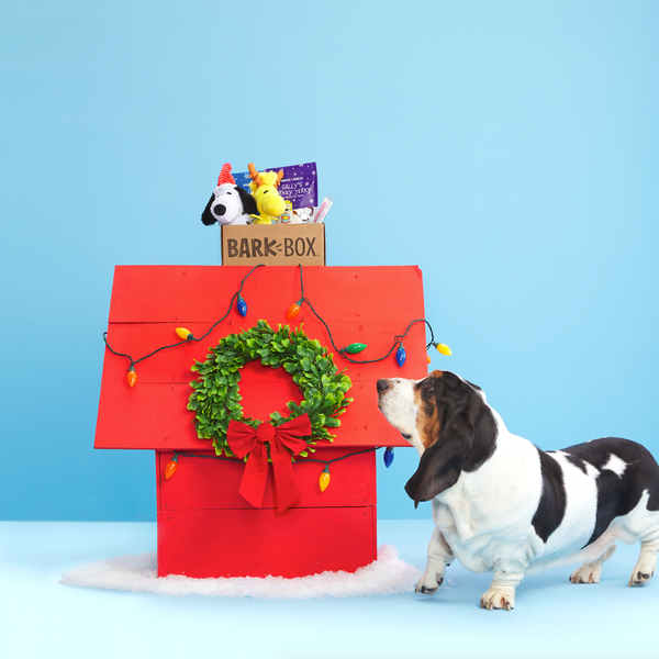 BarkBox Gift Subscription, Monthly