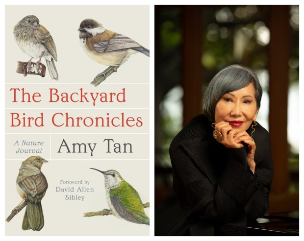 Amy Tan, the critically acclaimed author of 