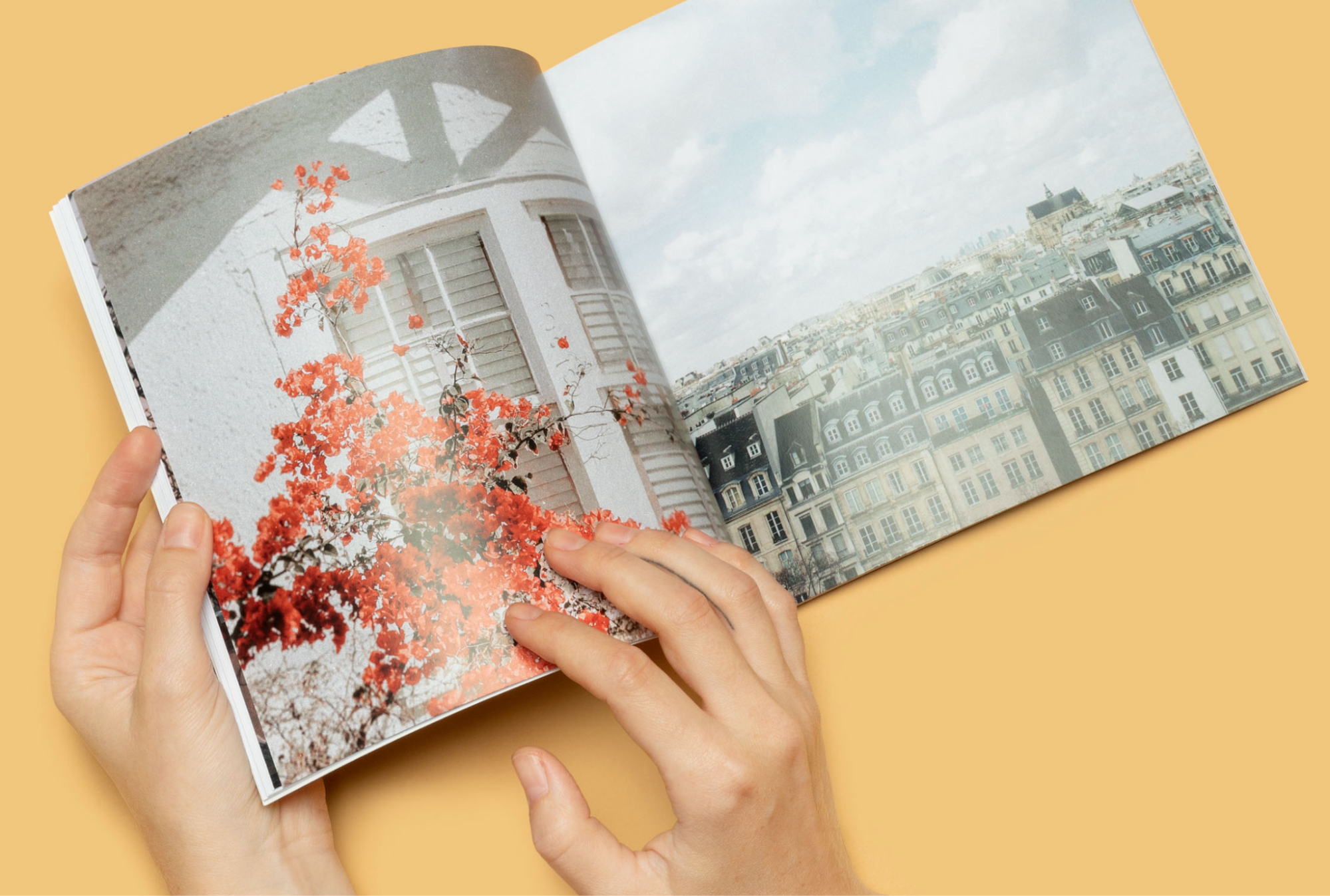 A person leafs through a photobook with shots of Parisian row houses and a flowering tree.