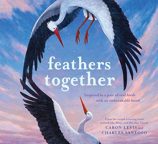 Book cover for Feathers Together