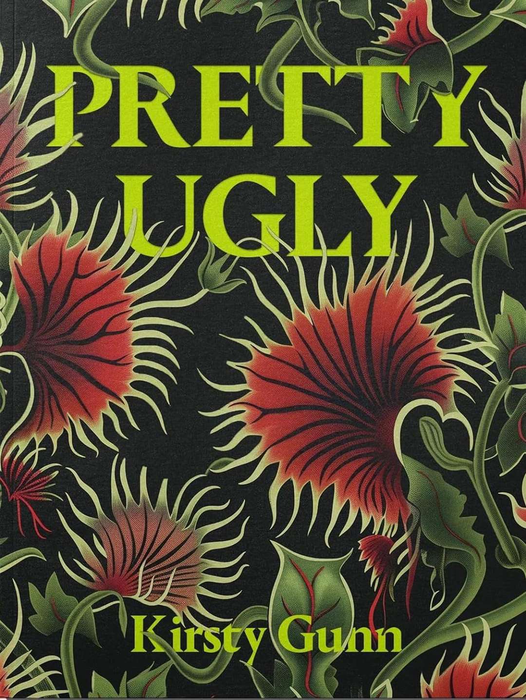 Kirsty Gunn's new collection of short stories is called 'Pretty Ugly'.